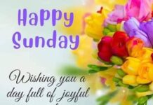 best-happy-sunday-wishes