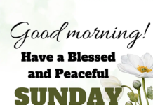 uplifting-sunday-blessings-quotes